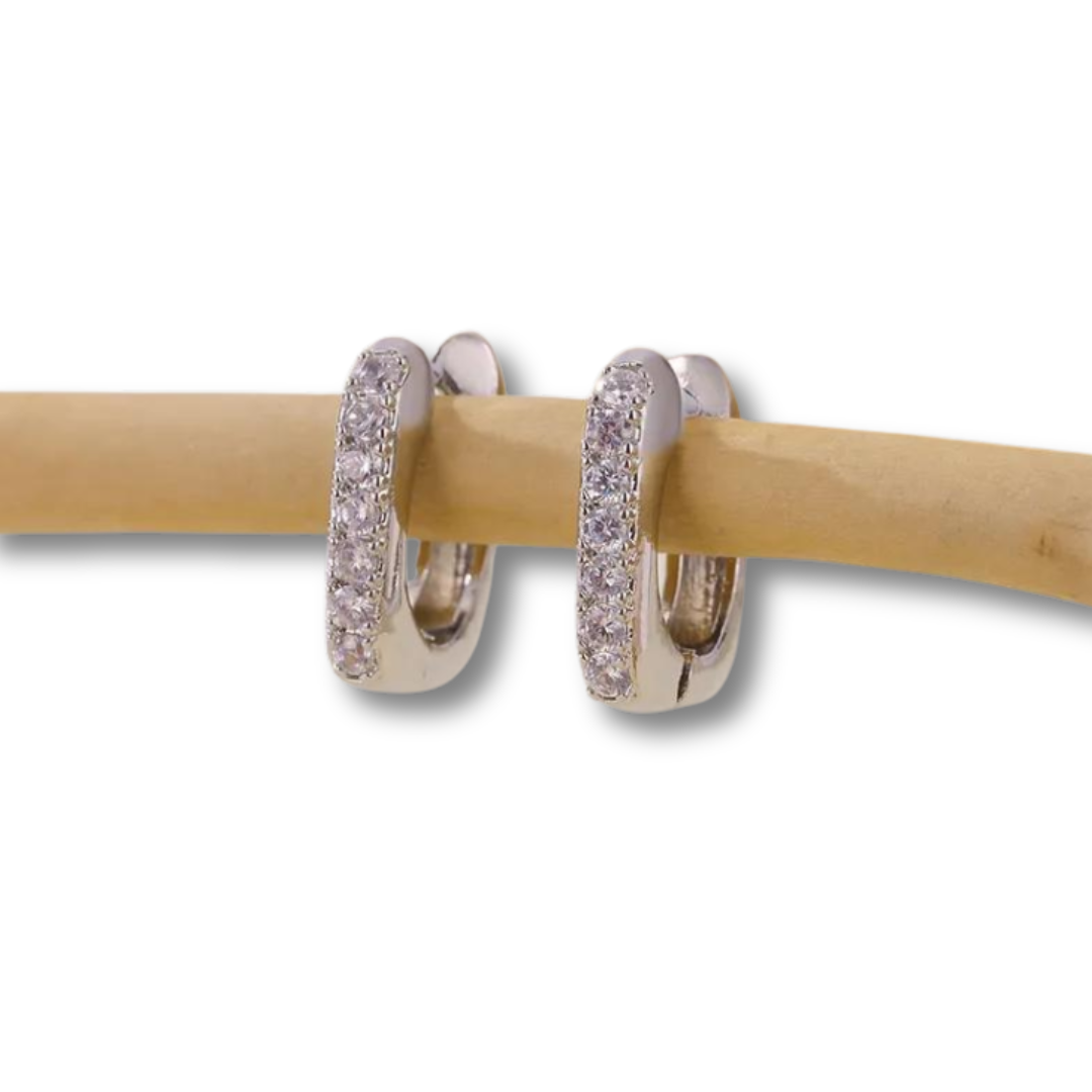 The Silver Hoop Collection - Skye Flowers Design