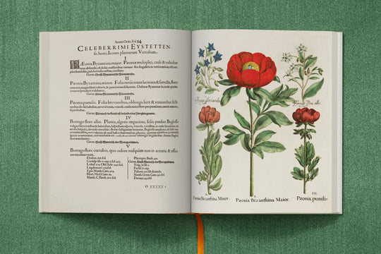 Taschen - Basilius Besler. The Garden at Eichstätt - Skye Flowers Design