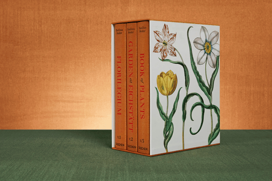Taschen - Basilius Besler. The Garden at Eichstätt - Skye Flowers Design