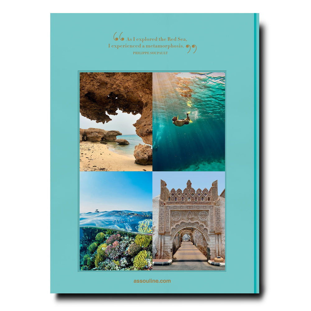 Red Sea The Saudi Coast - Skye Flowers Design