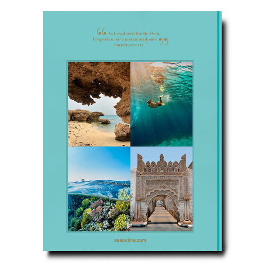 Red Sea The Saudi Coast - Skye Flowers Design