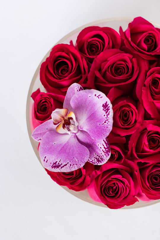 Round Fresh Rose Box - Romantic Red