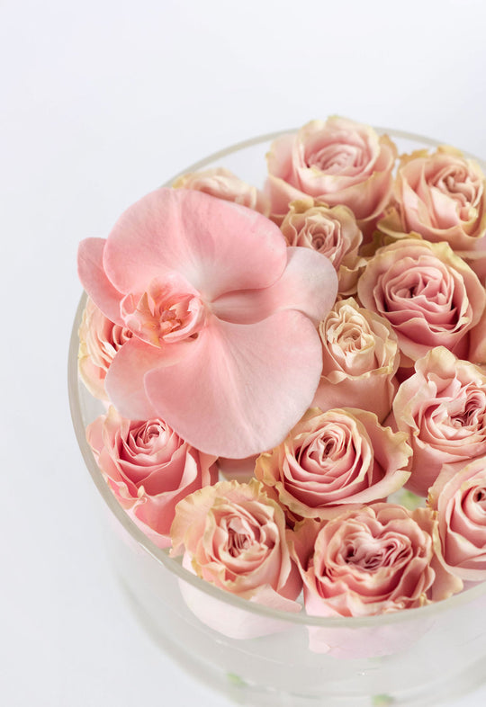 Round Fresh Rose Box - Softest Pink