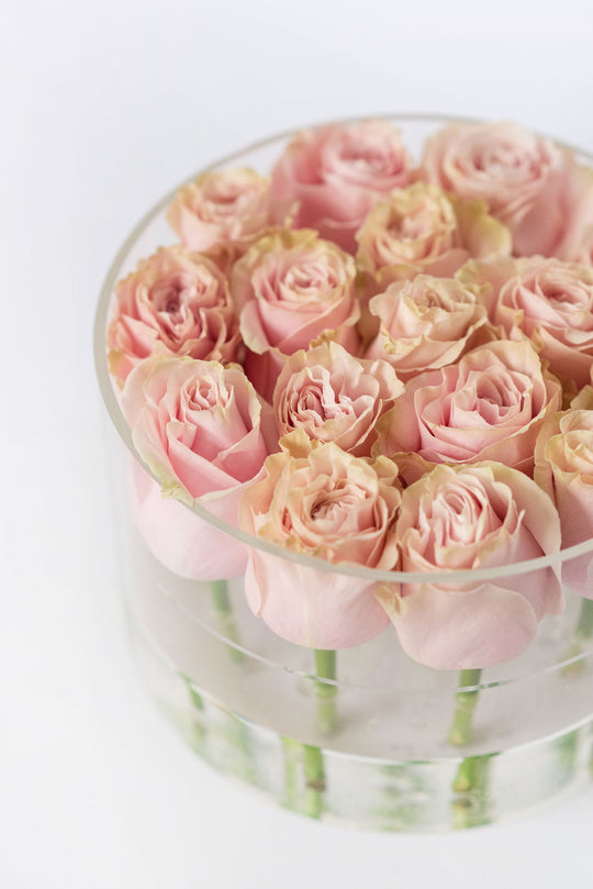 Round Fresh Rose Box - Softest Pink