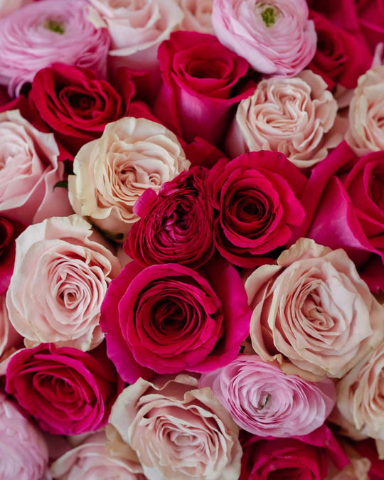 Sweet Surrender Roses - Skye Flowers Design
