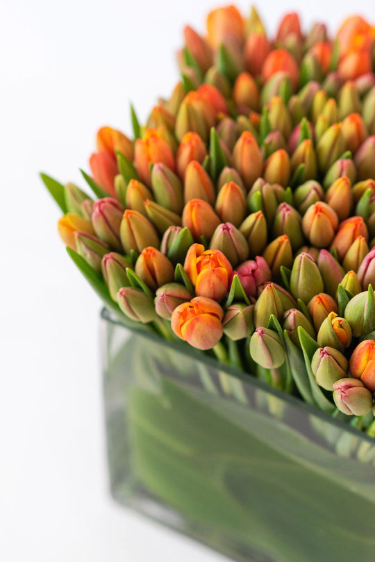 Tulip Lover - Skye Flowers Design