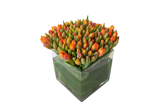 Tulip Lover - Skye Flowers Design