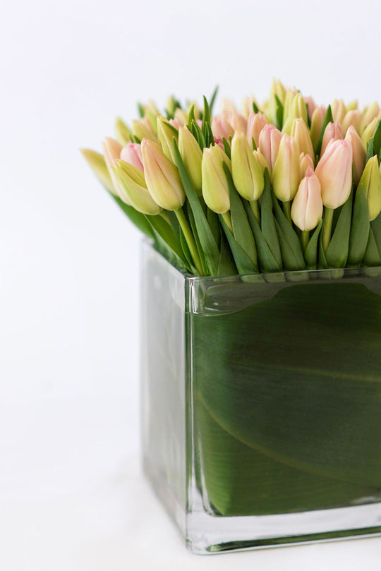 Tulip Lover - Skye Flowers Design