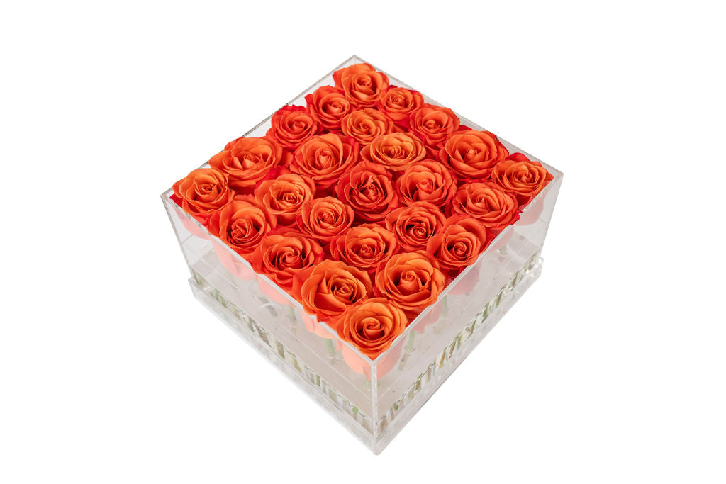 Square Fresh Rose Box - Orange Crush