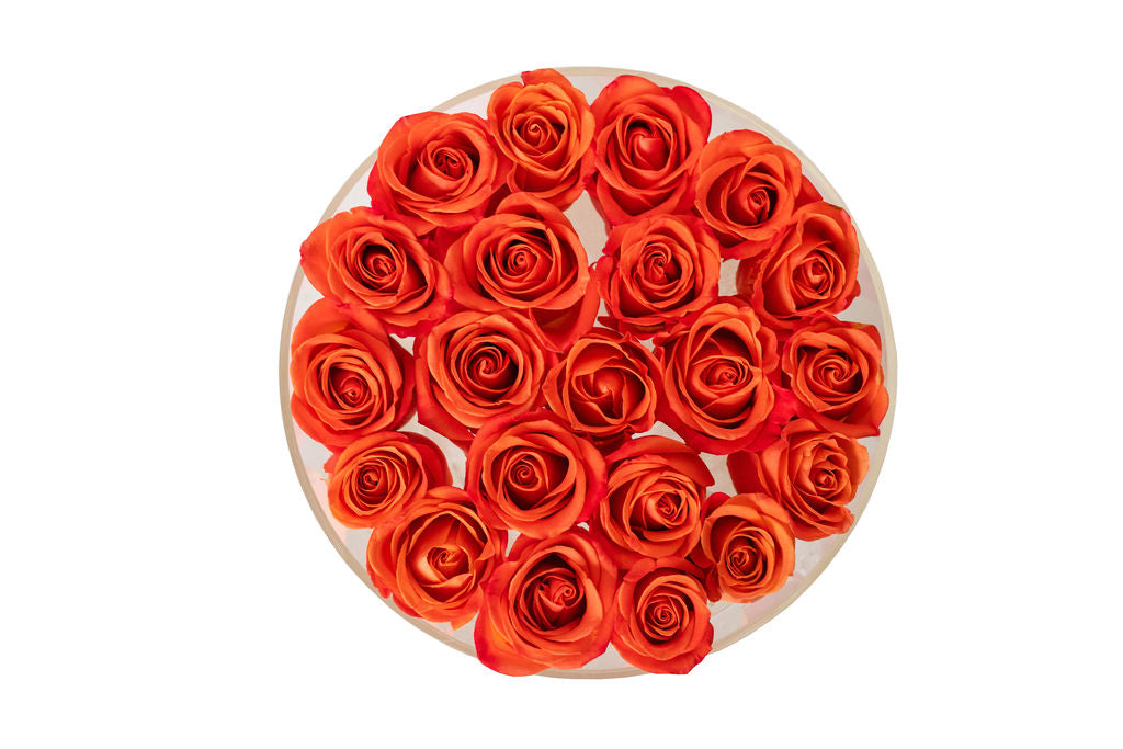 Round Fresh Rose Box - Orange Crush