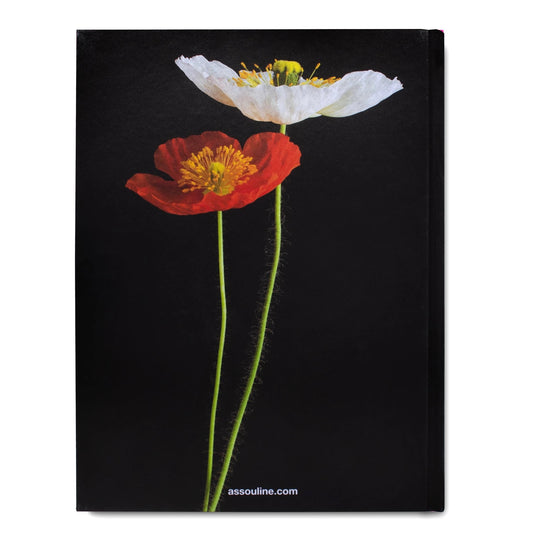 Flowers: Art & Bouquets - Skye Flowers Design