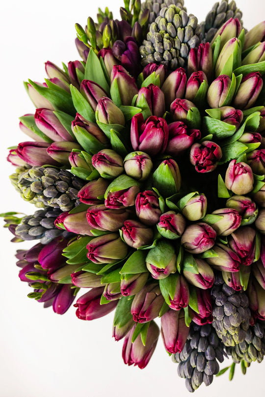 Purple Passion - Skye Flowers Design