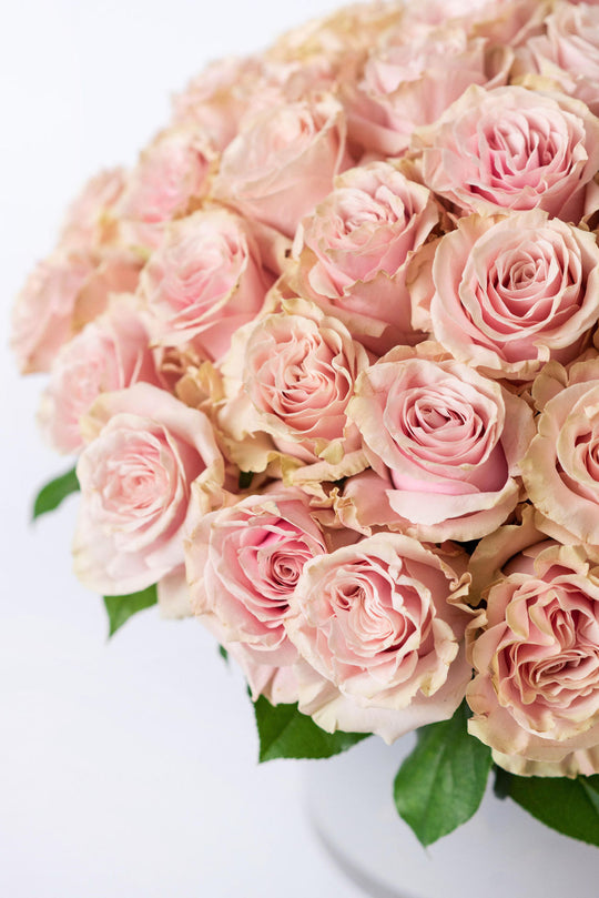 Prettiest Pink Roses - Skye Flowers Design