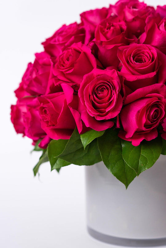 Hottest Pink Roses - Skye Flowers Design