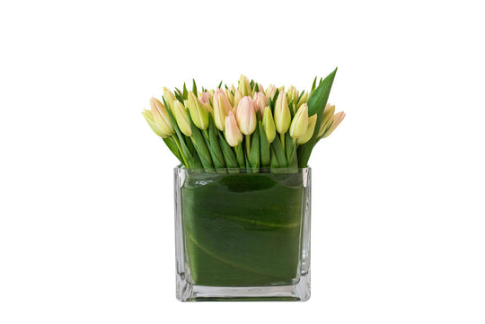 Tulip Lover - Skye Flowers Design