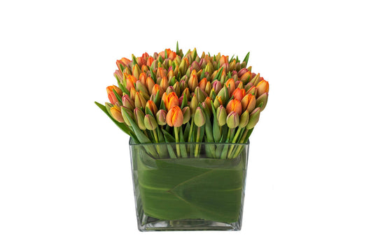 Tulip Lover - Skye Flowers Design