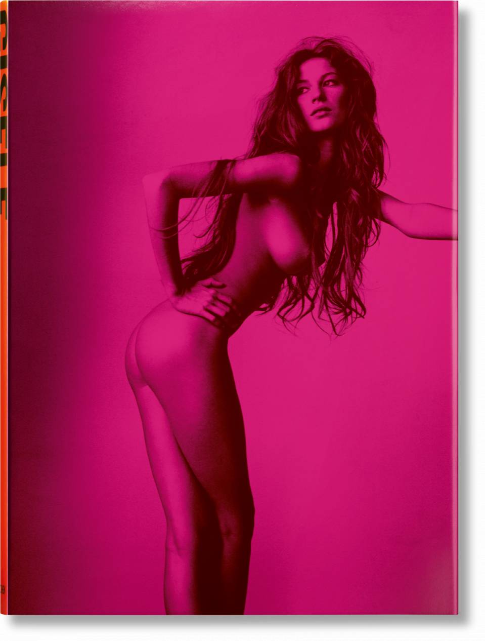 Gisele Bündchen - The Book - Skye Flowers Design