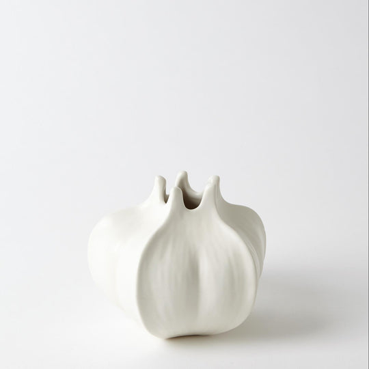 Mini Star Fruit Vases - Skye Flowers Design