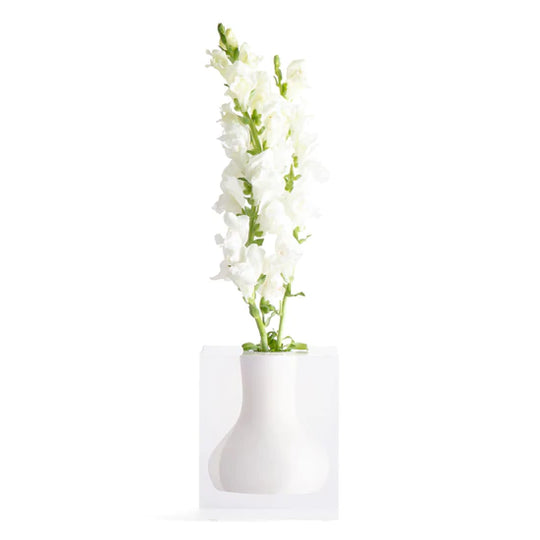Walker Bud Vase - Skye Flowers Design
