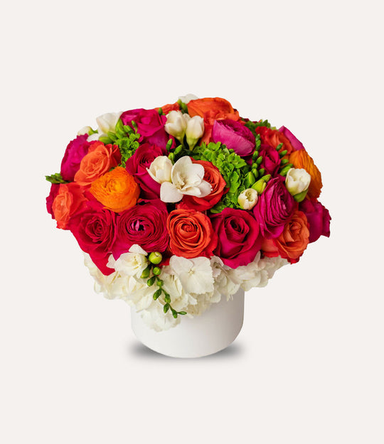 Bright and Beautiful