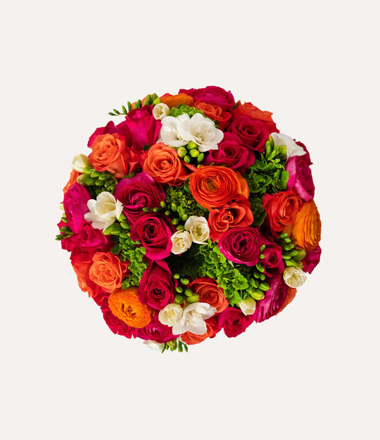 Bright and Beautiful