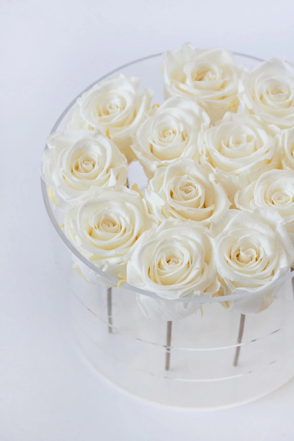 Round Forever Rose Box