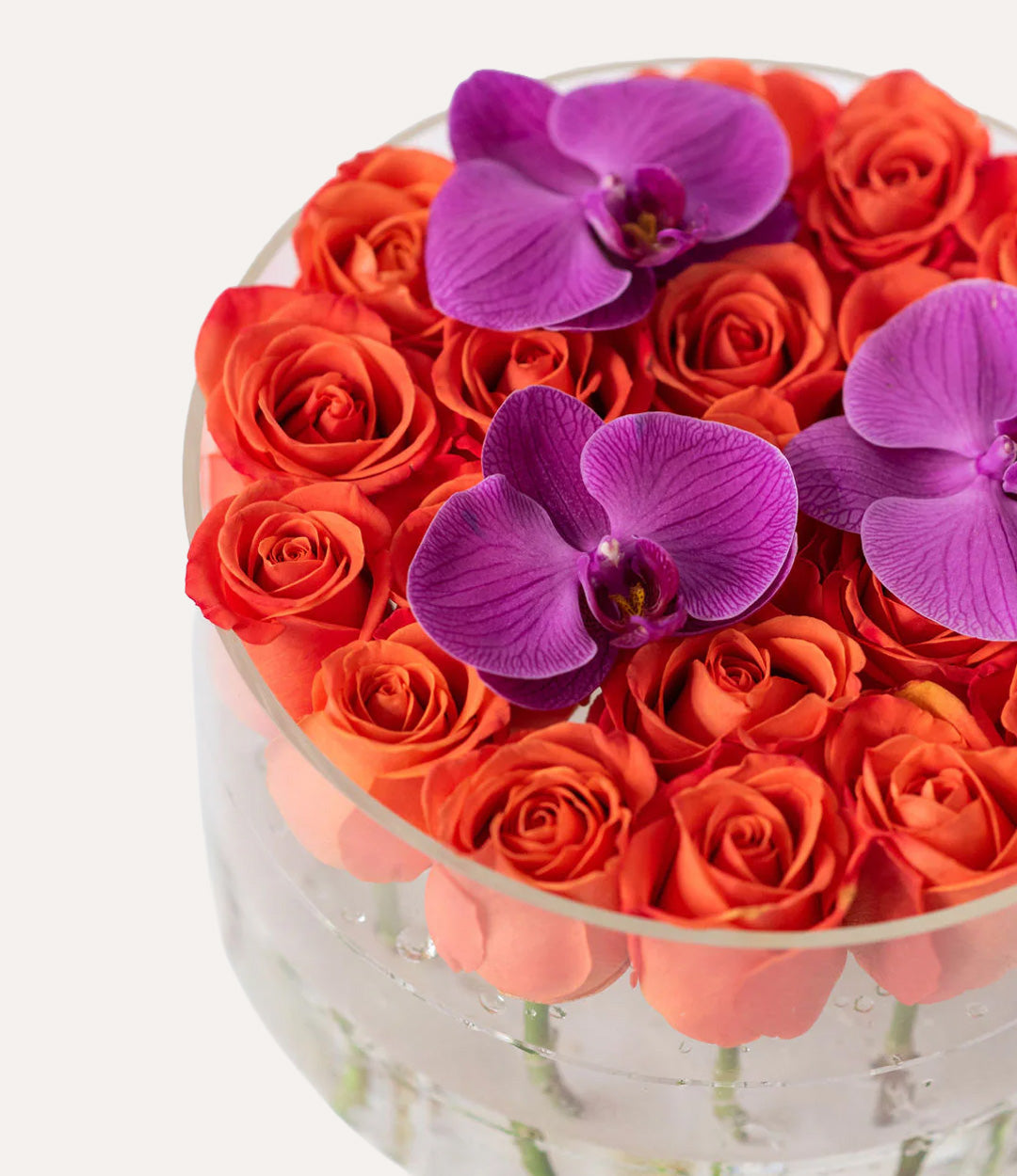 Round Fresh Rose Box