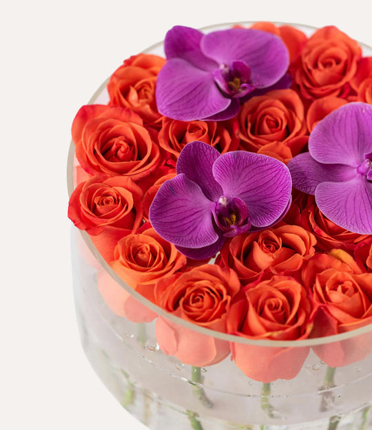 Round Fresh Rose Box