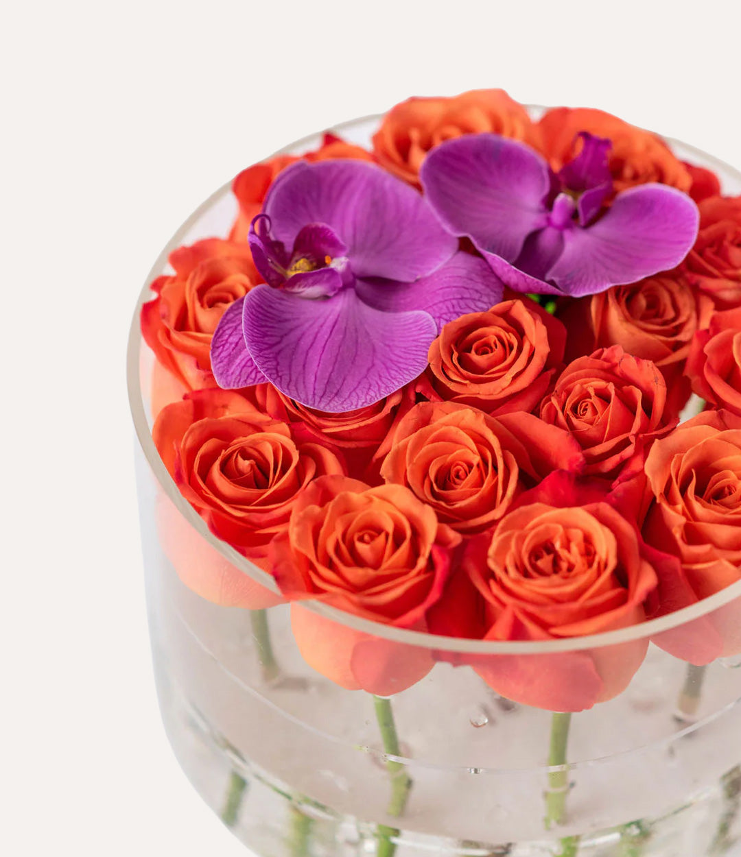 Round Fresh Rose Box