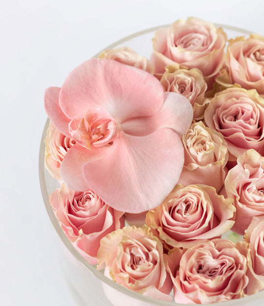 Round Fresh Rose Box