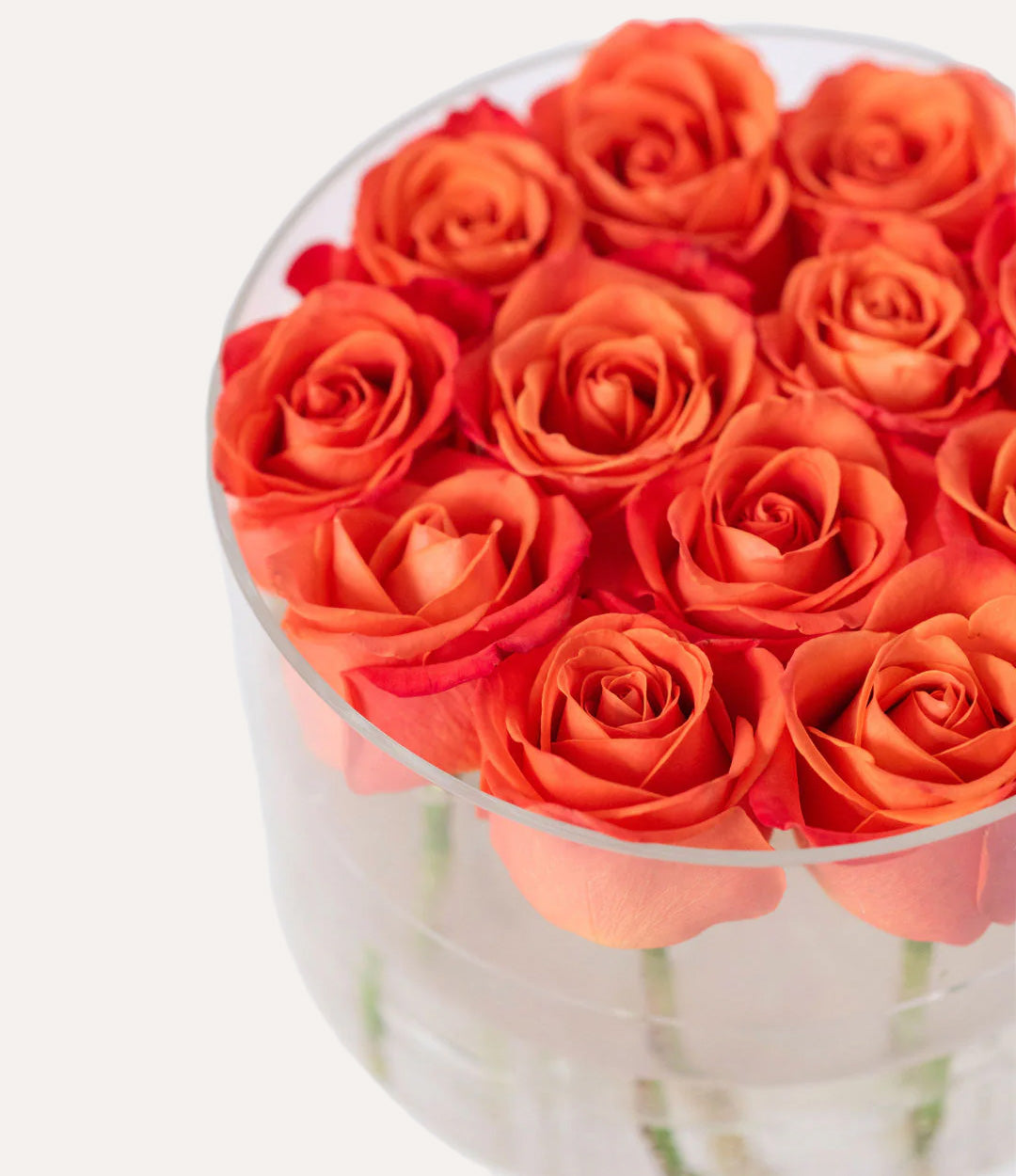 Round Fresh Rose Box