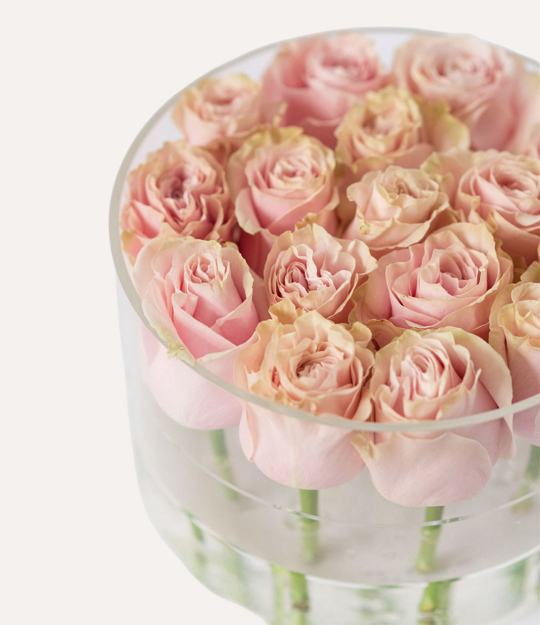 Round Fresh Rose Box