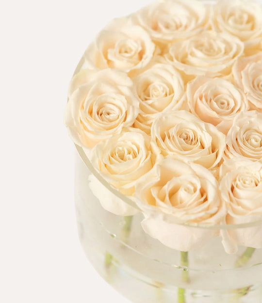 Round Fresh Rose Box