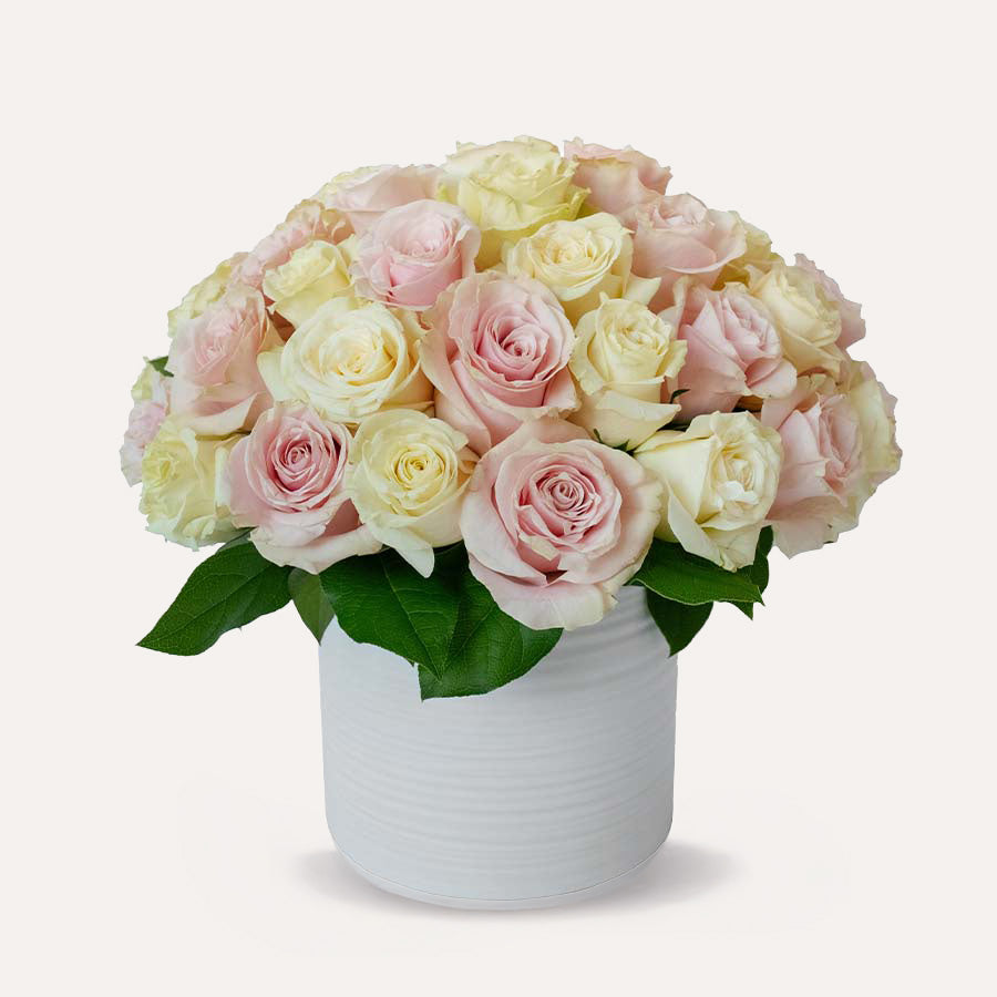 Bouquet of pink and white roses in a white vase on a light gray background