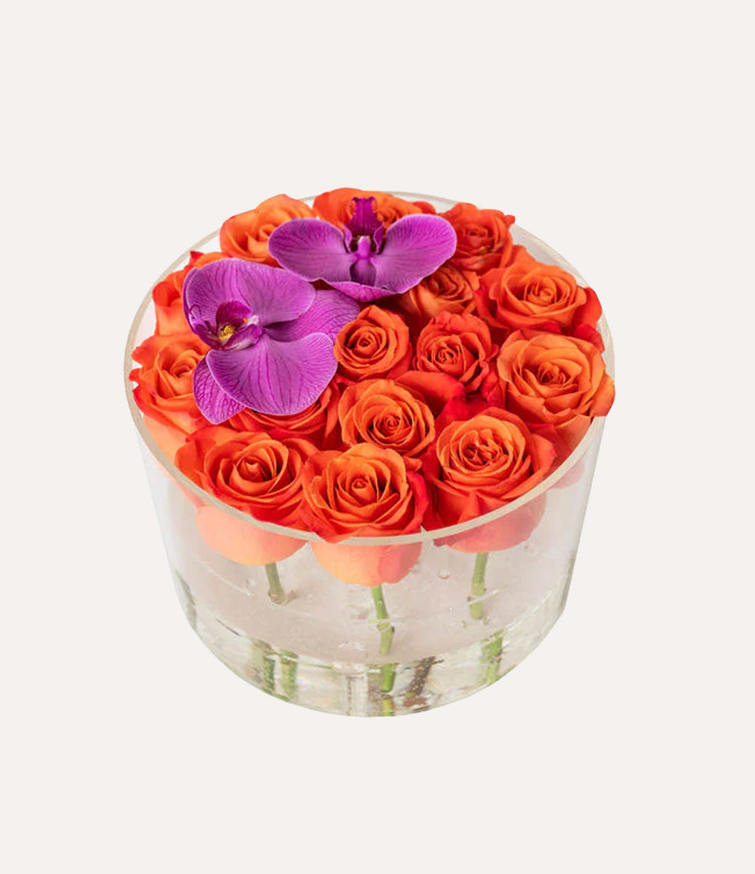 Round Fresh Rose Box