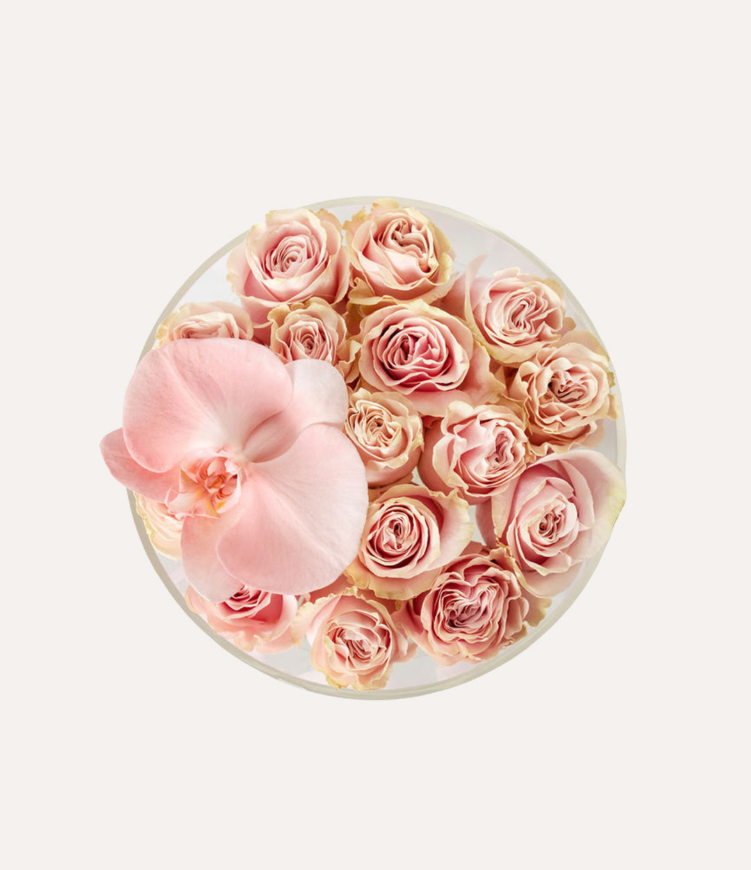 Round Fresh Rose Box