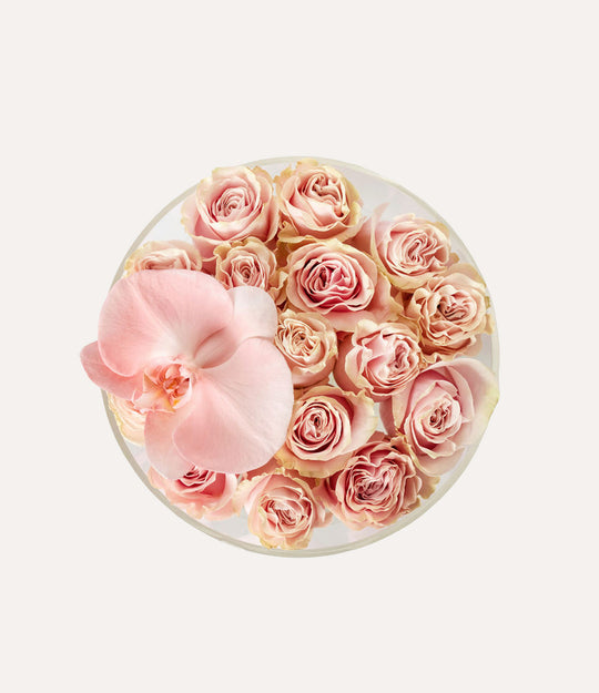 Round Fresh Rose Box