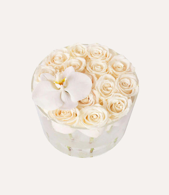 Round Fresh Rose Box