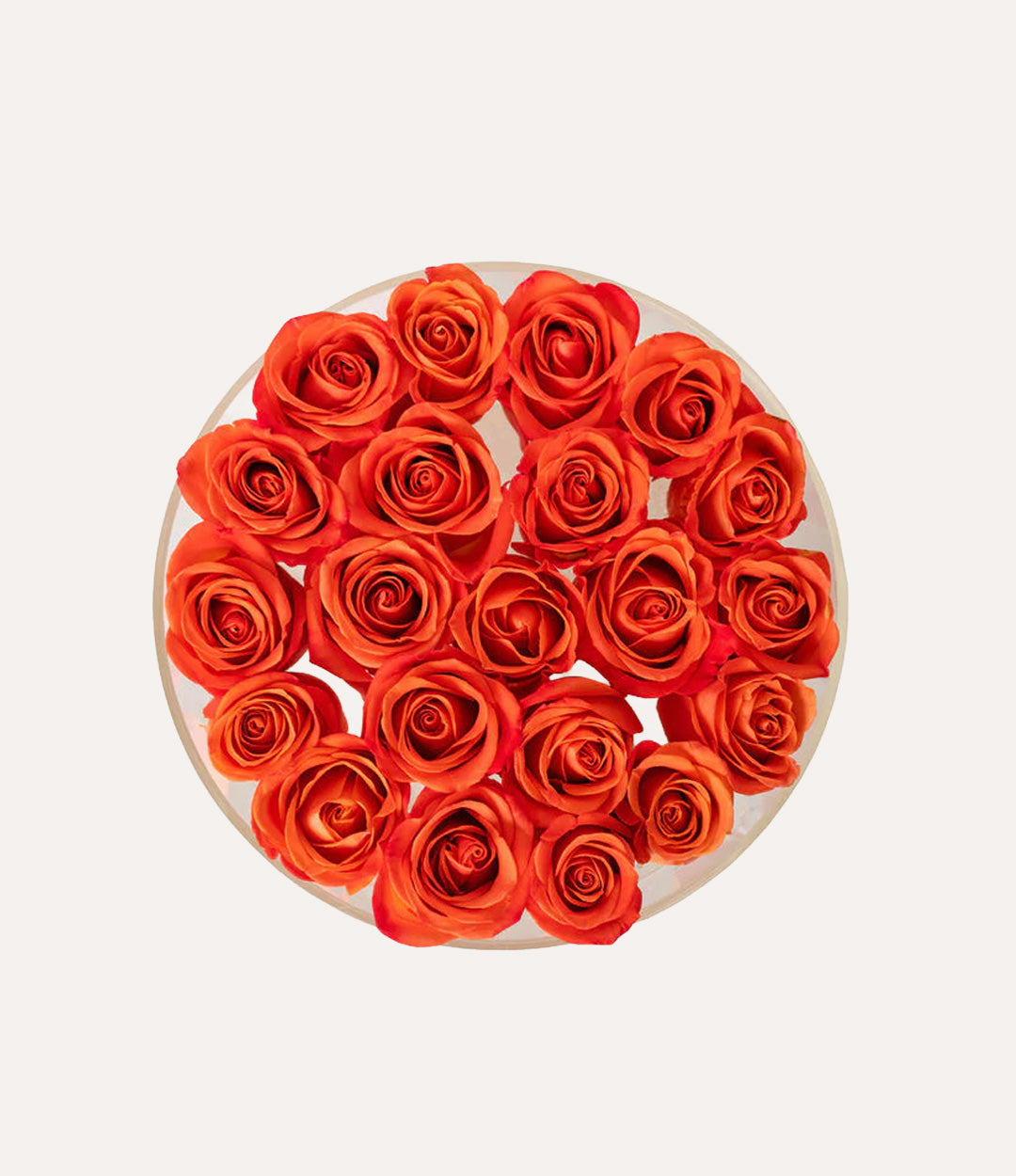 Round Fresh Rose Box