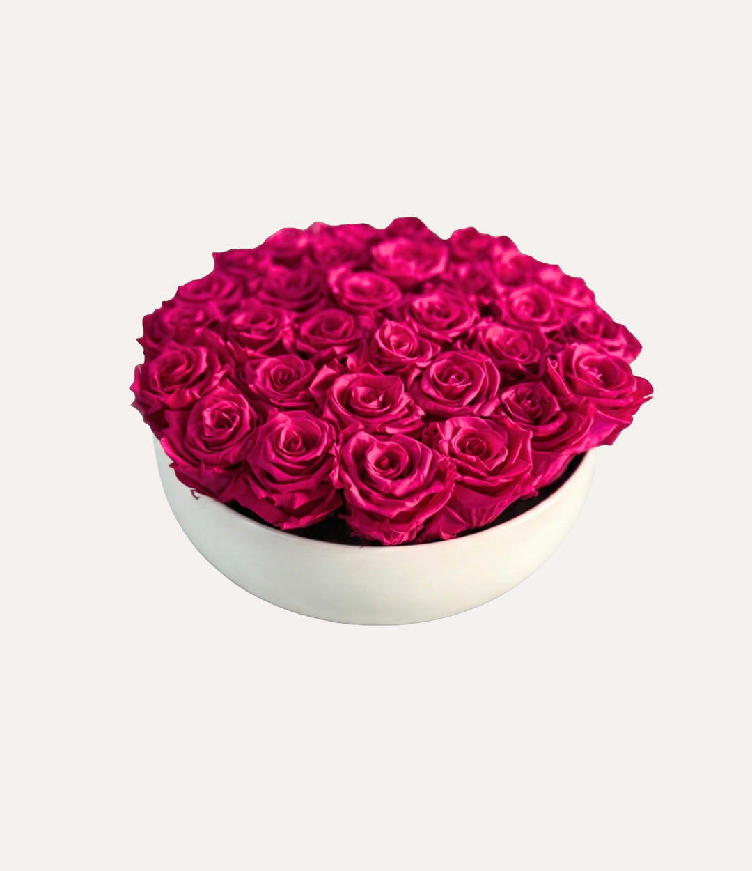 Forever Rose Collection