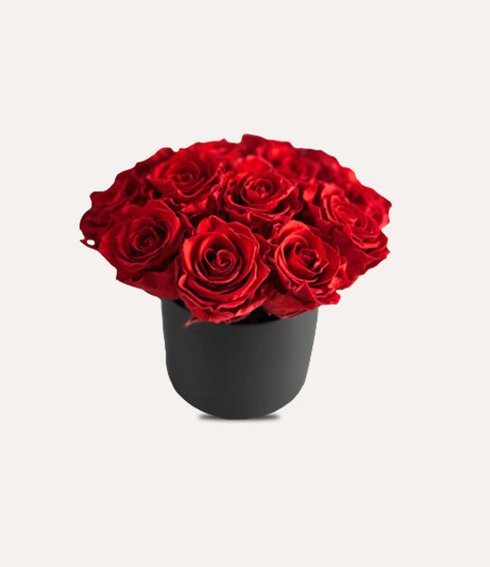 Forever Rose Collection