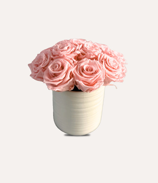 Forever Rose Collection