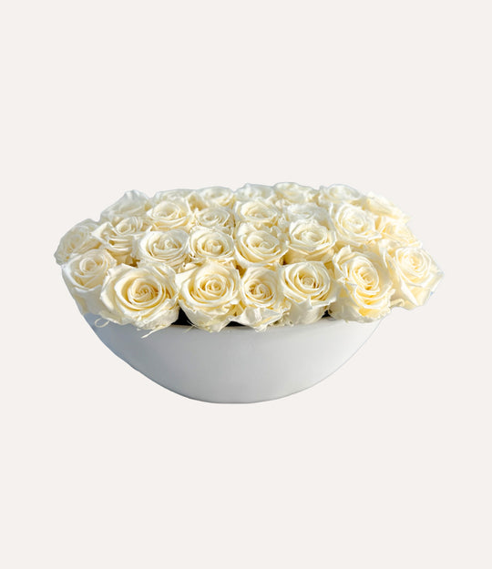 Forever Rose Collection