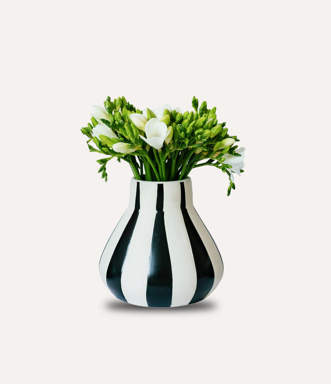 Black and white striped vase with flowers on a white background