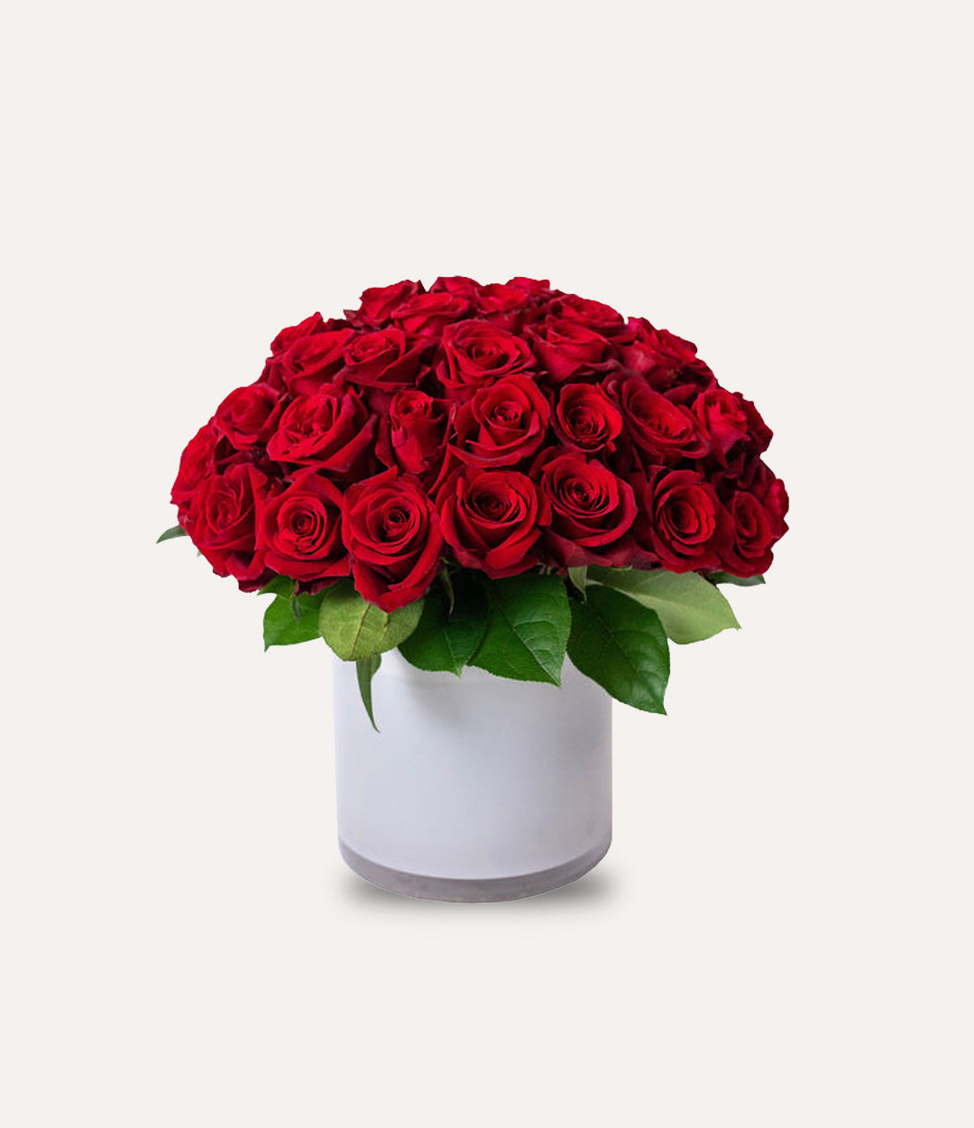 Bouquet of red roses in a white vase on a light gray background