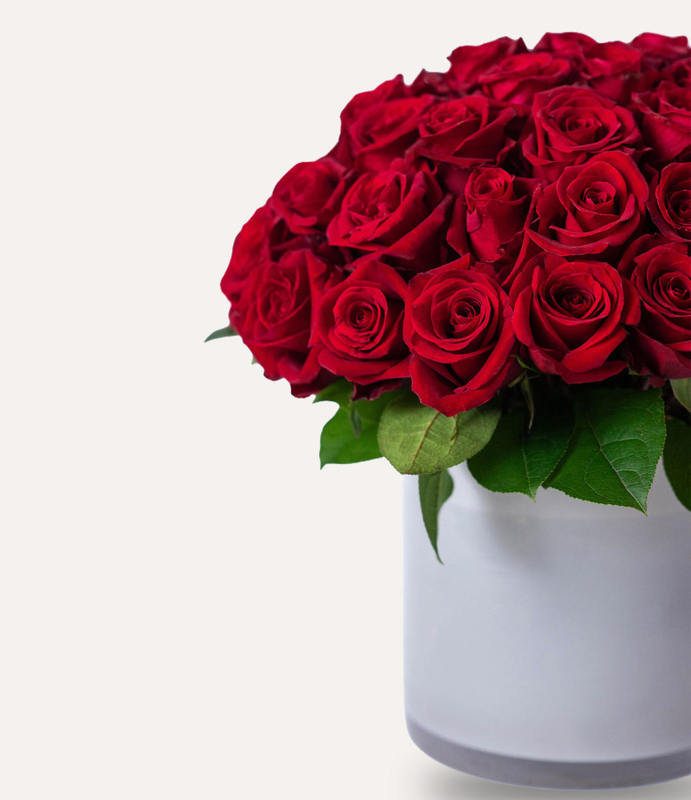Bouquet of red roses in a white container on a light gray background