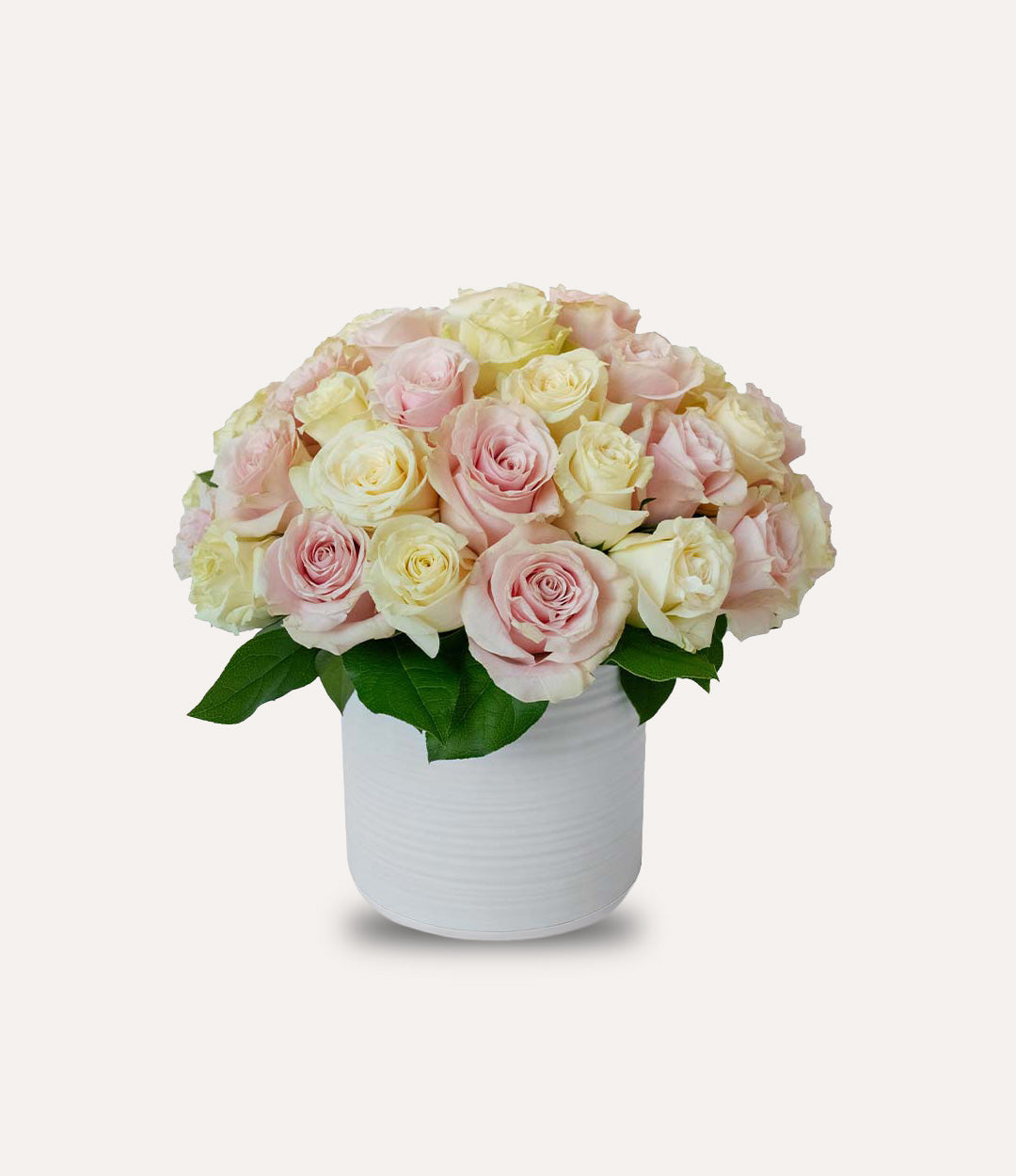 Bouquet of pink and white roses in a white vase on a light gray background