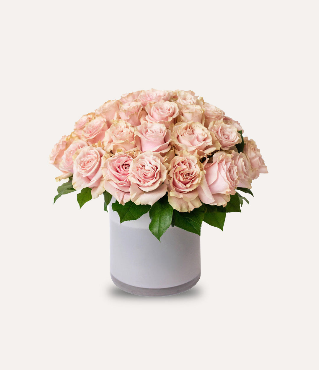 Bouquet of pink roses in a white vase on a light gray background