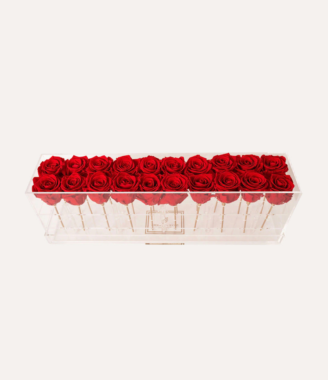 Rectangle Forever Rose Box