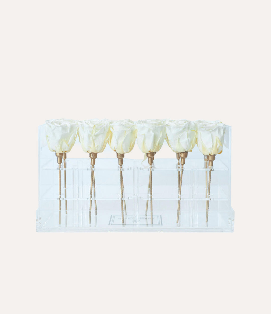 Rectangle Forever Rose Box